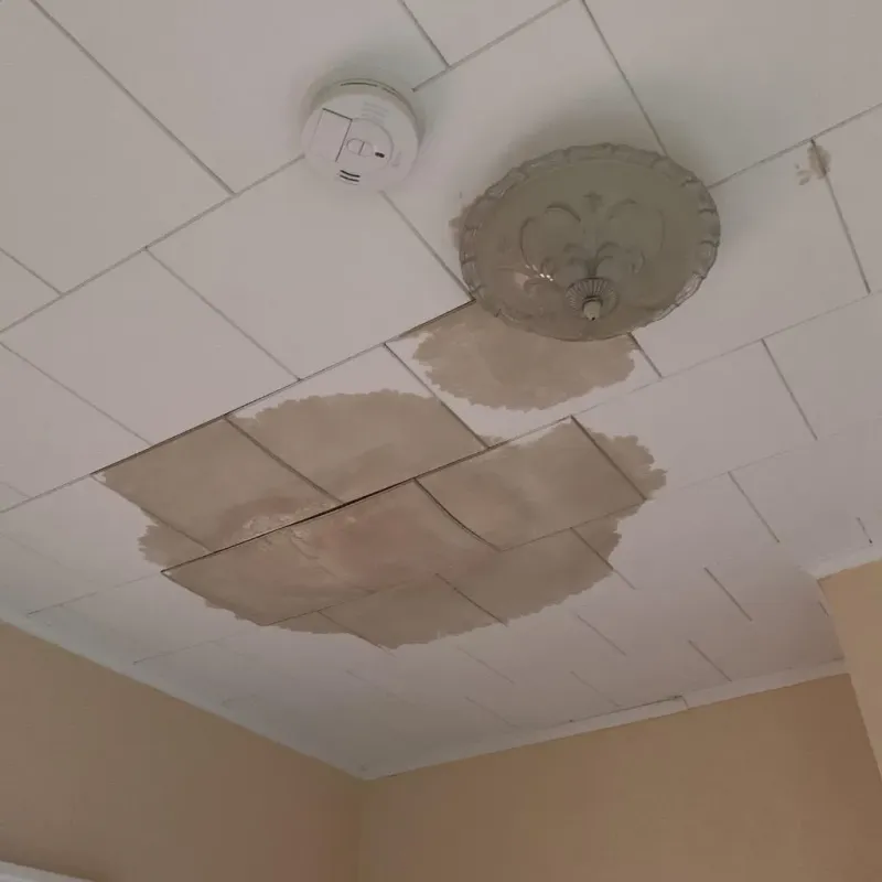 Ceiling Water Damage Repair in Bressler, PA
