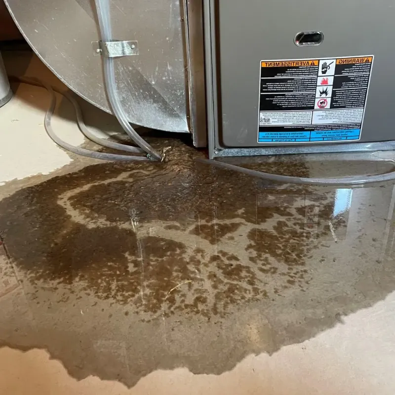 Pipe Burst and Leak Restoration in Bressler, PA