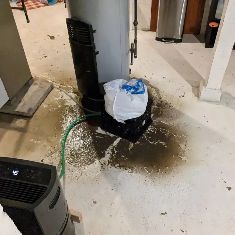 Sewage Backup Cleanup Service in Bressler, PA